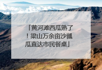 黄河滩西瓜熟了！梁山万余亩沙瓤瓜直达市民餐桌