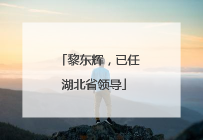 黎东辉，已任湖北省领导