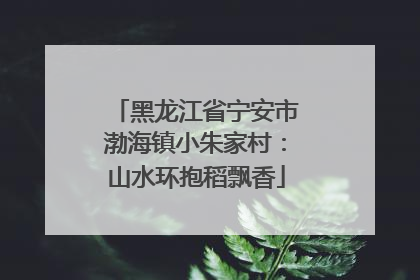 黑龙江省宁安市渤海镇小朱家村：山水环抱稻飘香