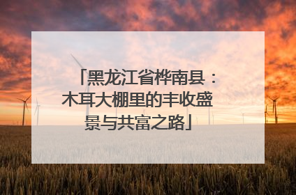 黑龙江省桦南县：木耳大棚里的丰收盛景与共富之路