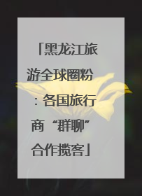 黑龙江旅游全球圈粉：各国旅行商“群聊”合作揽客