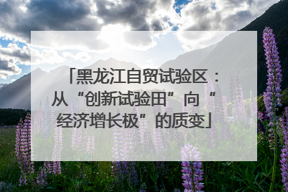 黑龙江自贸试验区：从“创新试验田”向“经济增长极”的质变