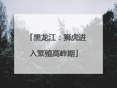 黑龙江：狮虎进入繁殖高峰期