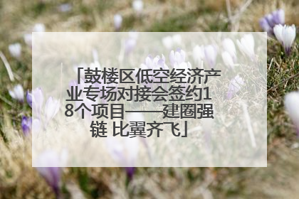 鼓楼区低空经济产业专场对接会签约18个项目——建圈强链 比翼齐飞