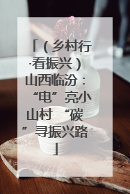 （乡村行·看振兴）山西临汾：“电”亮小山村 “碳”寻振兴路