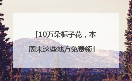 10万朵栀子花，本周末这些地方免费领