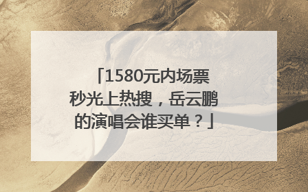 1580元内场票秒光上热搜，岳云鹏的演唱会谁买单？