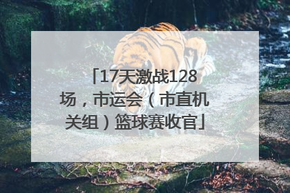 17天激战128场，市运会（市直机关组）篮球赛收官