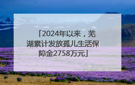 2024年以来，芜湖累计发放孤儿生活保障金2758万元