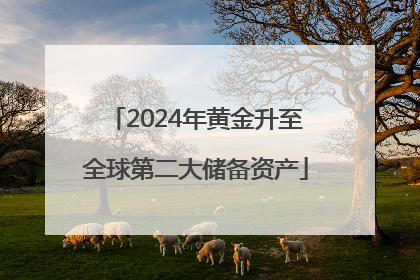 2024年黄金升至全球第二大储备资产