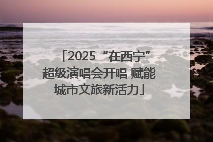 2025“在西宁”超级演唱会开唱 赋能城市文旅新活力