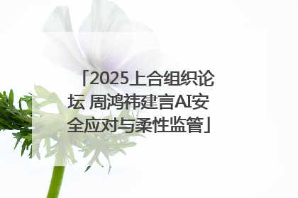 2025上合组织论坛 周鸿祎建言AI安全应对与柔性监管