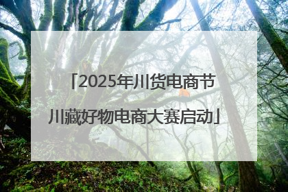 2025年川货电商节川藏好物电商大赛启动