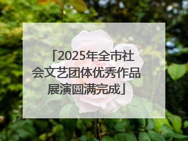 2025年全市社会文艺团体优秀作品展演圆满完成