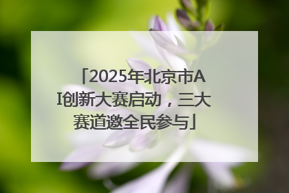2025年北京市AI创新大赛启动，三大赛道邀全民参与