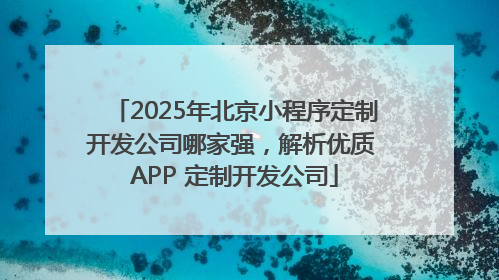 2025年北京小程序定制开发公司哪家强，解析优质 APP 定制开发公司