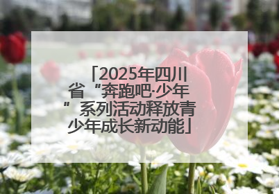 2025年四川省“奔跑吧·少年”系列活动释放青少年成长新动能