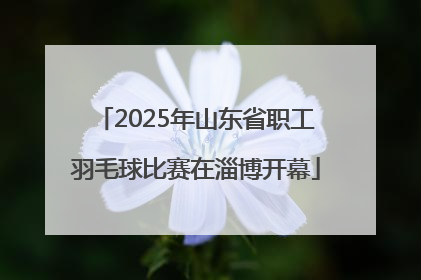 2025年山东省职工羽毛球比赛在淄博开幕