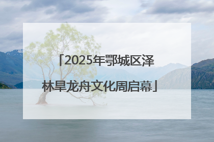 2025年鄂城区泽林旱龙舟文化周启幕