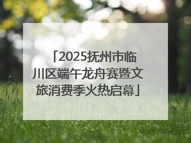 2025抚州市临川区端午龙舟赛暨文旅消费季火热启幕