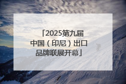 2025第九届中国（印尼）出口品牌联展开幕