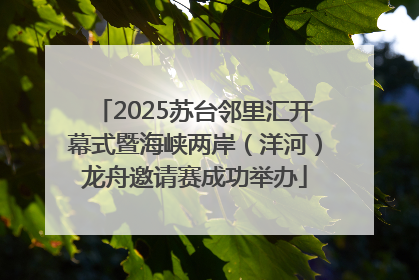 2025苏台邻里汇开幕式暨海峡两岸（洋河）龙舟邀请赛成功举办