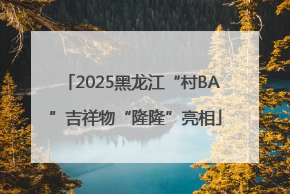2025黑龙江“村BA”吉祥物“隆隆”亮相