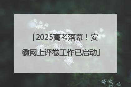 2025高考落幕！安徽网上评卷工作已启动