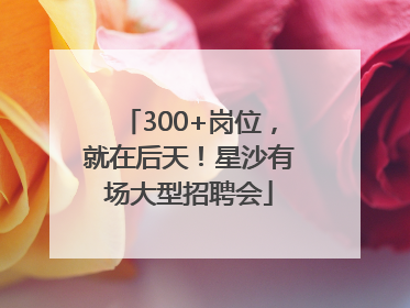 300+岗位，就在后天！星沙有场大型招聘会
