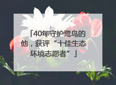 40年守护鹭鸟的他，获评“十佳生态环境志愿者”