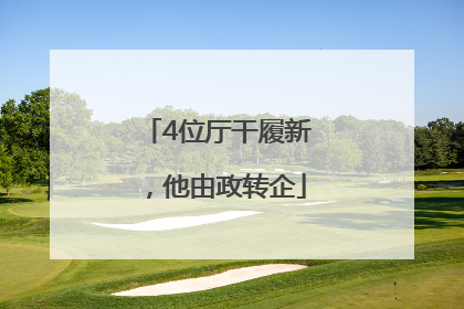 4位厅干履新，他由政转企