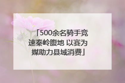 500余名骑手竞速秦岭腹地 以赛为媒助力县域消费