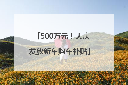 500万元！大庆发放新车购车补贴