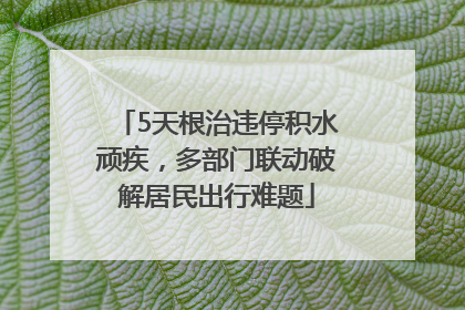 5天根治违停积水顽疾，多部门联动破解居民出行难题