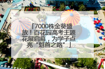 7000株金葵盛放！百花园高考主题花展启幕，为学子点亮“魁首之路”