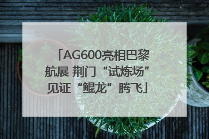 AG600亮相巴黎航展 荆门“试炼场”见证“鲲龙”腾飞