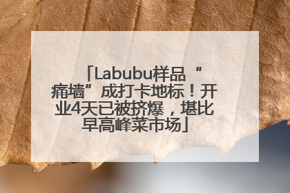 Labubu样品“痛墙”成打卡地标！开业4天已被挤爆，堪比早高峰菜市场