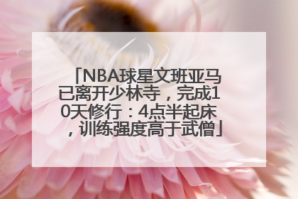 NBA球星文班亚马已离开少林寺，完成10天修行：4点半起床，训练强度高于武僧