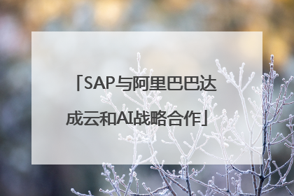 SAP与阿里巴巴达成云和AI战略合作